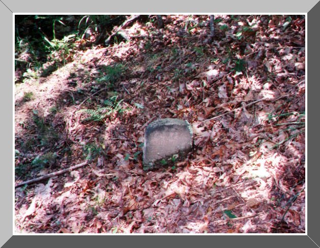 Joshua Hitchcock's grave